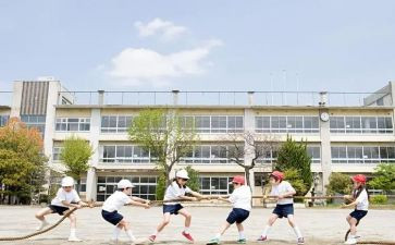 学生2023个人总结模板6篇